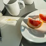 빌라 Zvizdan